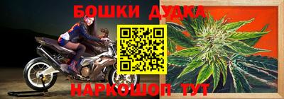 альфа пвп Заводоуковск
