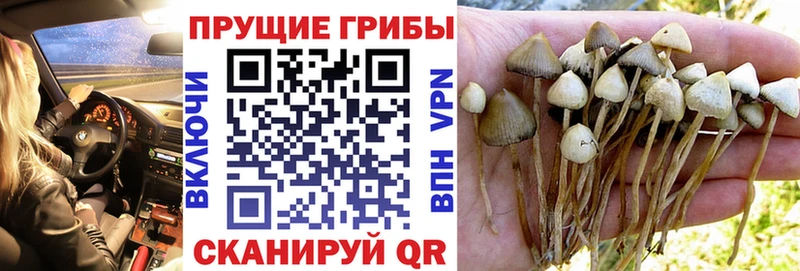 Псилоцибиновые грибы мухоморы  Бутурлиновка 